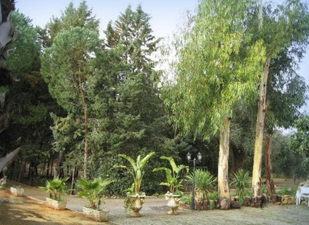 צ'לייה מספיקה Villa Mado מראה חיצוני תמונה